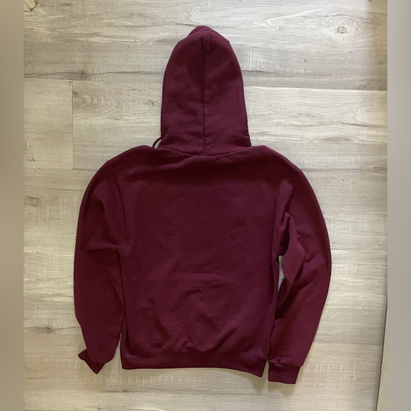 Vintage Champion Eco Fleece MIT Hoodie Men’s Small (or fit Women’s Medium) - Picture 2 of 7